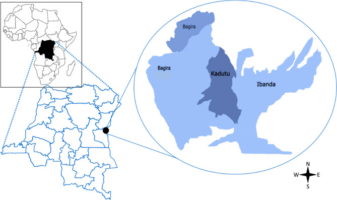 Integration of newborn screening for sickle cell disease into primary health care in Bukavu, Democratic Republic of the Congo: a pilot study.