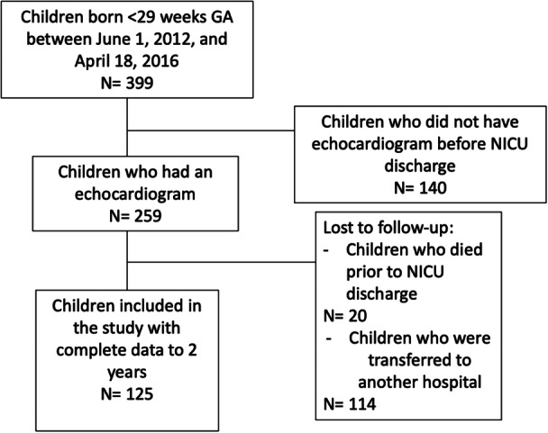 Risk Factors for Severe Respiratory Morbidity at 2 Years of Life in Children Born Extremely Preterm With Bronchopulmonary Dysplasia.