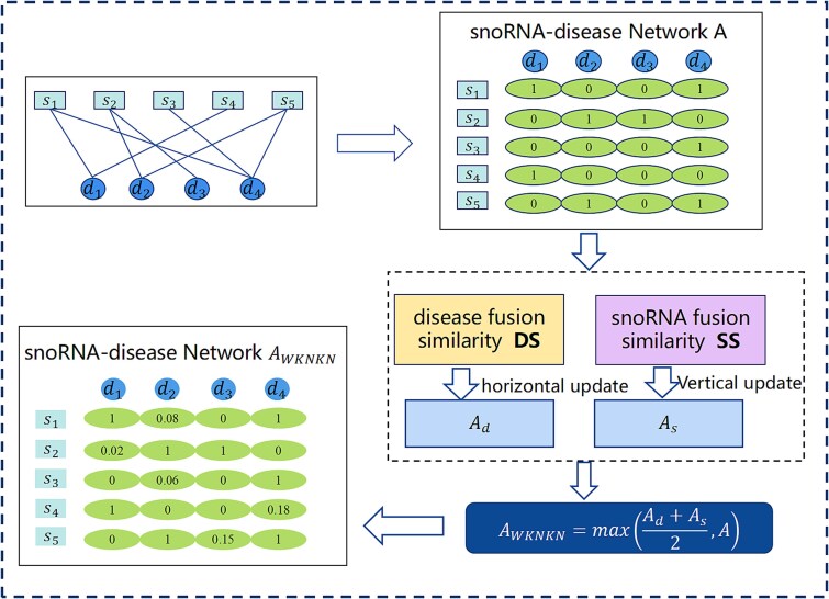 GCNMF-SDA: predicting snoRNA-disease associations based on graph convolution and non-negative matrix factorization.
