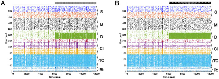 The improved thalamo-cortical spiking network model of deep brain stimulation.