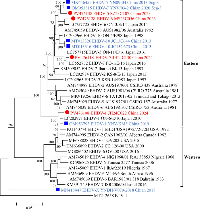 Isolation of four serotypes of epizootic hemorrhagic disease virus from <i>Culicoides</i> spp. and their associated infections in cattle in Yunnan, China.