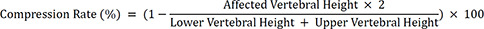 Compression Rate Progression of Osteoporotic Vertebral Compression Fracture in Conservative Treatments.