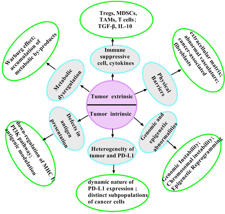 Immunotherapy Resistance and Therapeutic Strategies in PD-L1 High Expression Non-Small Cell Lung Cancer.