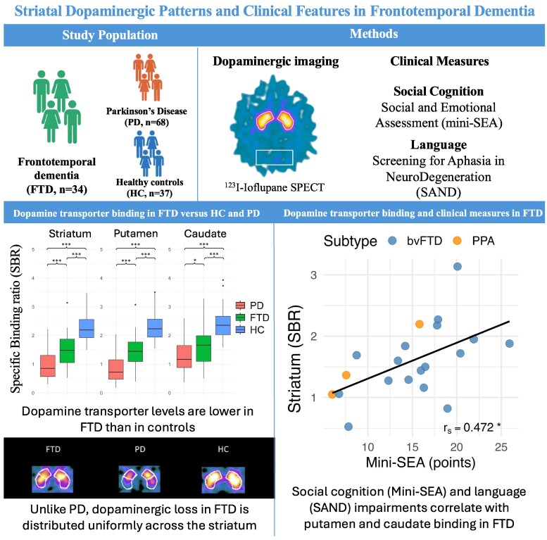 Striatal dopaminergic patterns and clinical features in frontotemporal dementia.