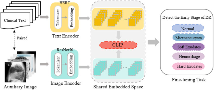 Development and validation of a deep learning model for early detection and screening of diabetic retinopathy.