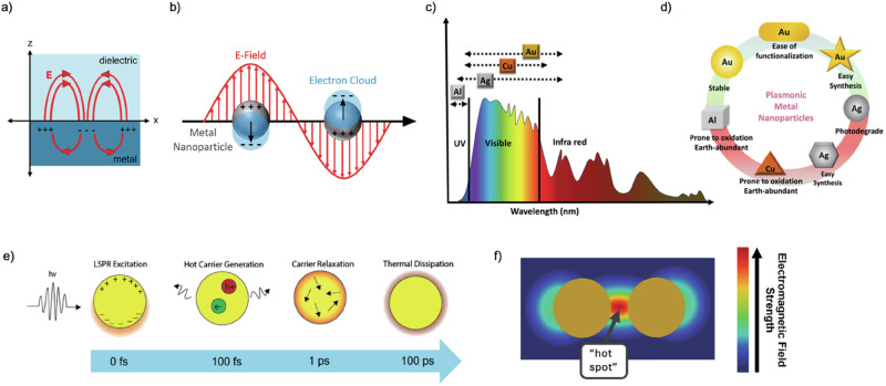 Photophysics of plasmonically enhanced self-assembled artificial light-harvesting nanoantennas.