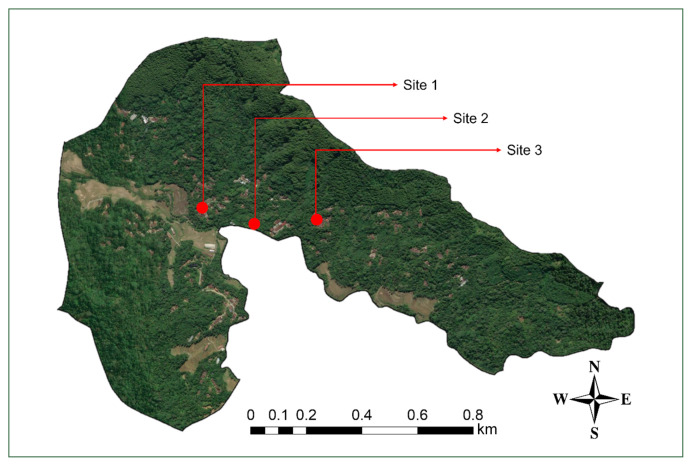 Genetic diversity and phylogeographic structure of Anopheles kochi, Anopheles maculatus, and Anopheles vagus: ITS2-based analysis of highland transboundary populations in the Menoreh Hills, Java, Indonesia.