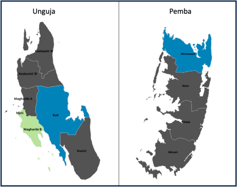 Occupations at high risk for malaria in Zanzibar: a case-control study, may-august 2023.