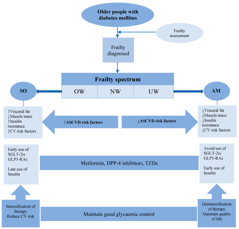 Practical Considerations in the Management of Frail Older People with Diabetes.