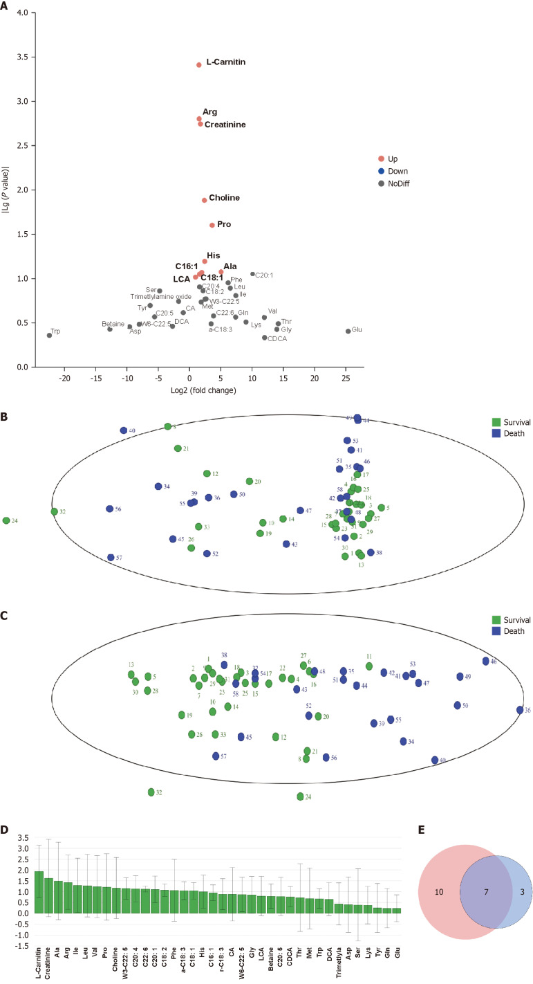Serum metabolomic characteristics and their predictive value for ninety-day prognosis in patients with acute-on-chronic liver failure.