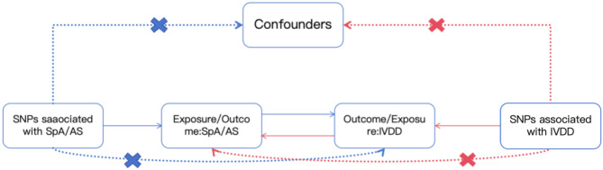 Exploring the causal relationships between spondyloarthritis/ankylosing spondylitis and intervertebral disc degeneration: a bidirectional Mendelian randomization study.