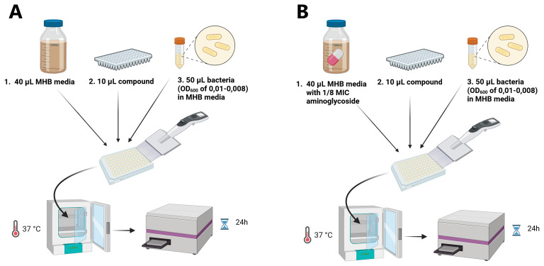 Screening <i>Actinomycetes</i> extracts for antimicrobial compounds against methicillin-resistant <i>Staphylococcus aureus</i> and helper-compounds against aminoglycoside-resistant <i>E. coli</i>.