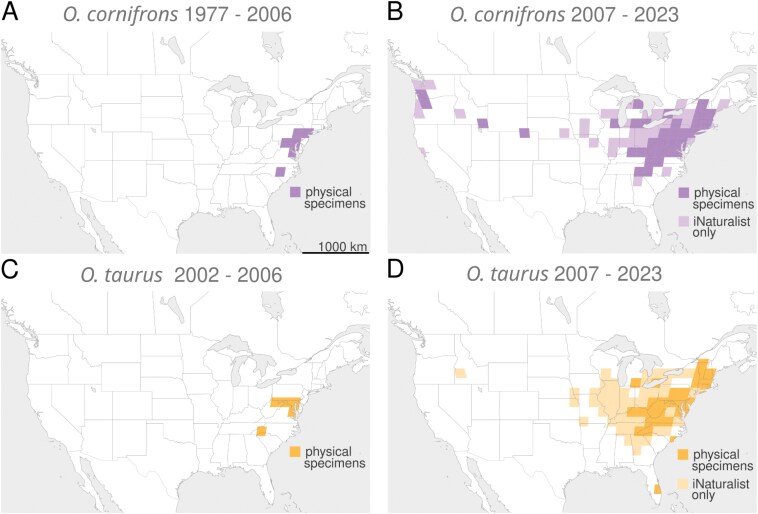 Correction to: The establishment and potential spread of Osmia cornuta (Hymenoptera: Megachilidae) in North America.