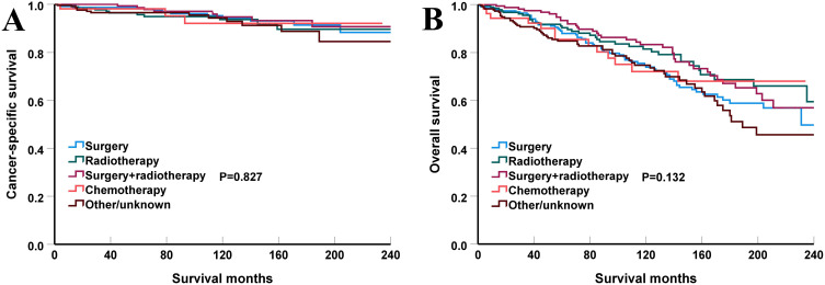 Initial Treatment Strategies Show No Survival Difference in Early-Stage Salivary Gland Mucosa-Associated Lymphoid Tissue Lymphoma.