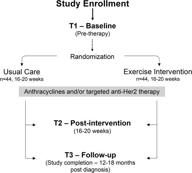 Take charge during treatment: a protocol for a pilot study to evaluate the impact of exercise on cardiovascular biomarkers among black and white breast cancer patients undergoing treatment.