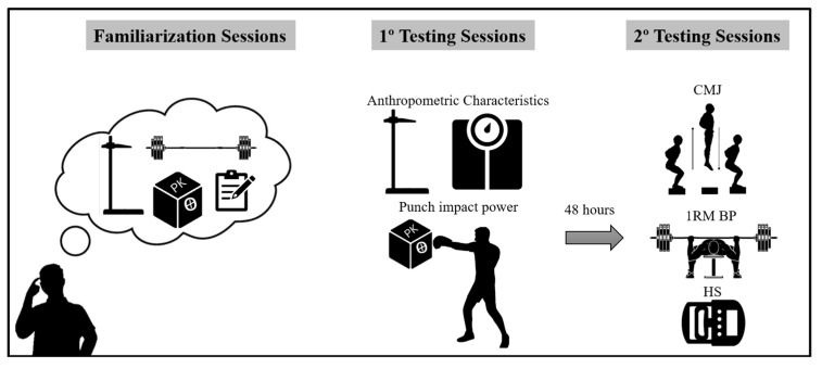 Influence of Anthropometric Characteristics and Muscle Performance on Punch Impact.