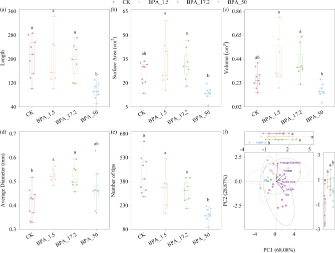Effects of bisphenol A on root traits and rhizosphere bacteria: exploring the link between rhizosphere bacterial and root growth.