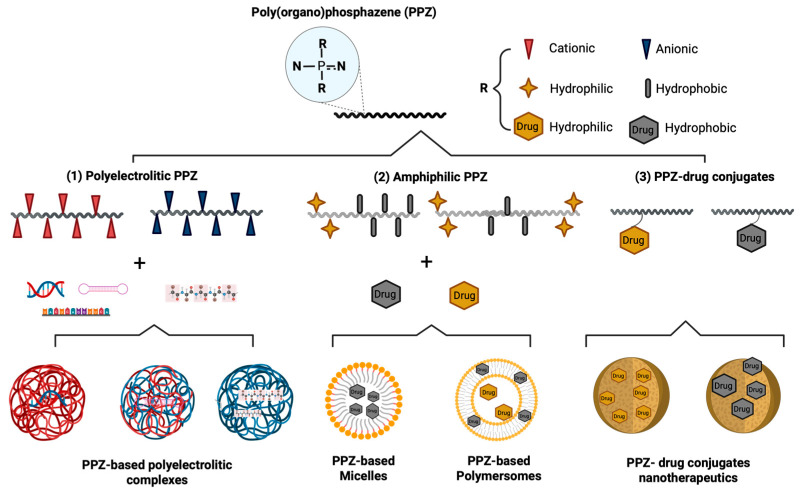 Polyphosphazene-Based Nanotherapeutics.