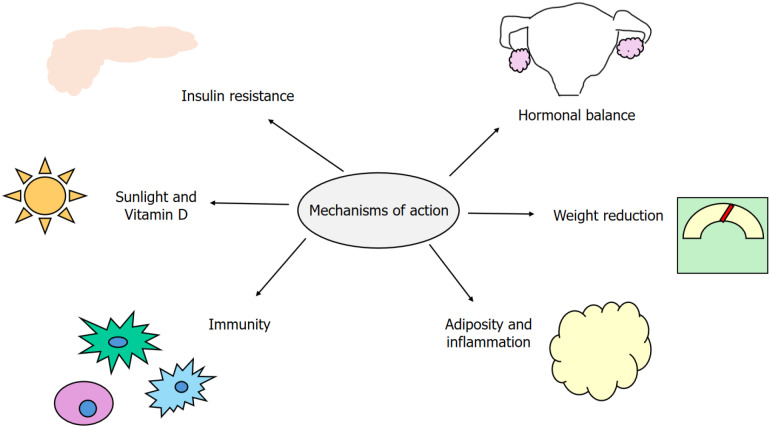 Role of physical activity in cancer prevention: An update.
