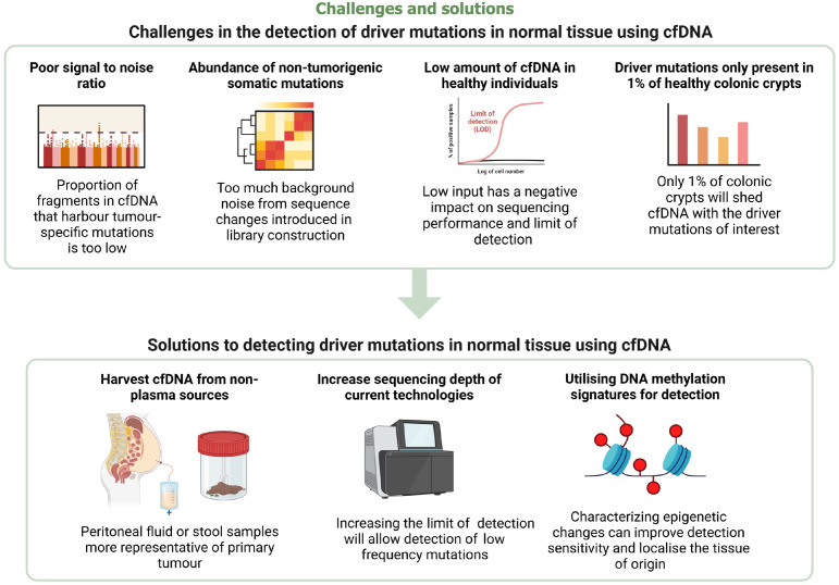 Challenges and proposed solutions to the adoption of cell free DNA in screening, detecting and prognosticating colorectal cancer.
