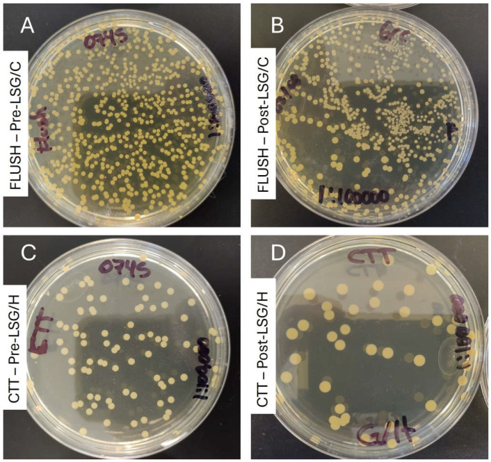 Antimicrobial Effect of Gentamicin/Heparin and Gentamicin/Citrate Lock Solutions on <i>Staphylococcus aureus</i> and <i>Pseudomonas aeruginosa</i> Clinical Strains.