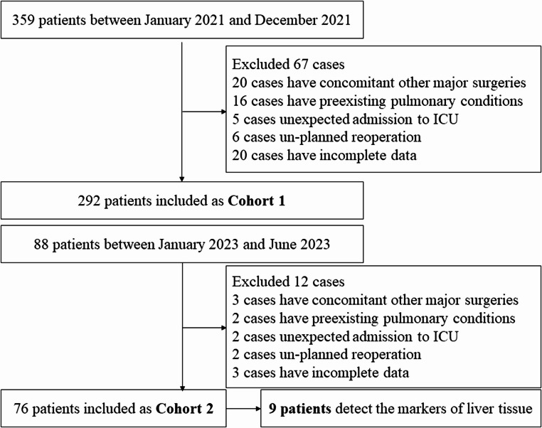 Association between intraoperative hyperoxia and liver function in patients undergoing hepatectomy: a multicenter observational study.