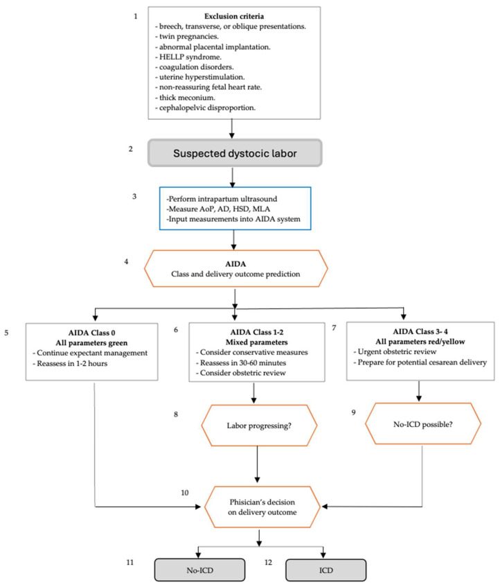 The Contribution of AIDA (Artificial Intelligence Dystocia Algorithm) to Cesarean Section Within Robson Classification Group.