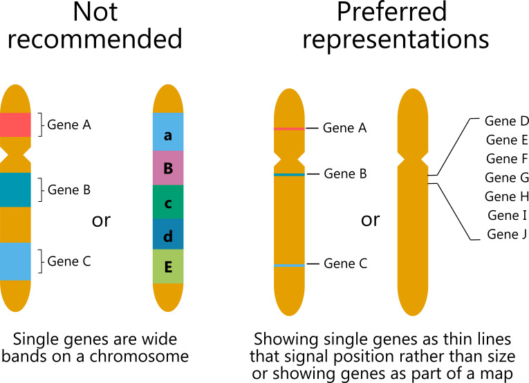 Misshaped chromosomes, mismatched chromatids, and missized genes: easy edits may help mitigate misconceptions commonly represented in published scientific figures.