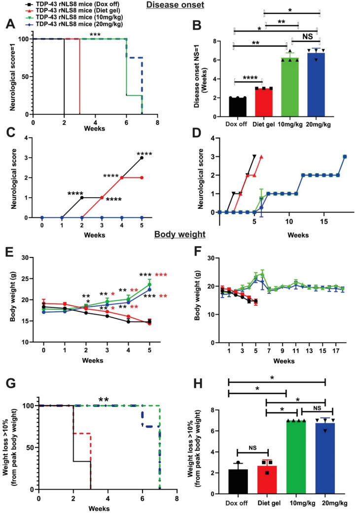A Slower-Progressing TDP-43 rNLS8 Mouse Model for ALS: Implications for Preclinical and Mechanistic Studies.