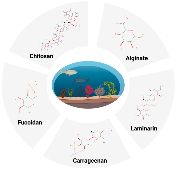 Marine-Derived Polymers-Polysaccharides as Promising Natural Therapeutics for Atherosclerotic Cardiovascular Disease.