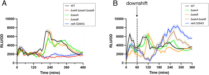 Analysis of (p)ppGpp metabolism and signaling using a dynamic luminescent reporter.