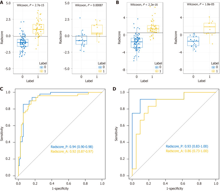Developing and validating a computed tomography radiomics strategy to predict lymph node metastasis in pancreatic cancer.