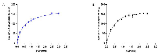An Optimized Enzyme-Coupled Spectrophotometric Method for Measuring Pyruvate Kinase Kinetics.