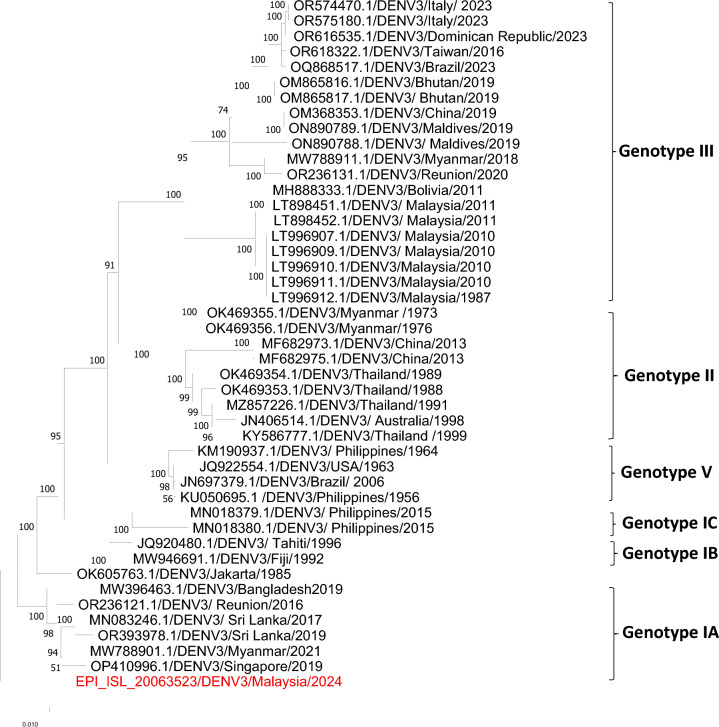 Genomic evidence links human dengue cases with undetermined serotypes to sylvatic lineages.