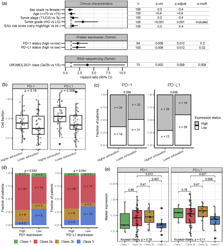 Expression of PD-1 and PD-L1 in BCG-treated NMIBC.