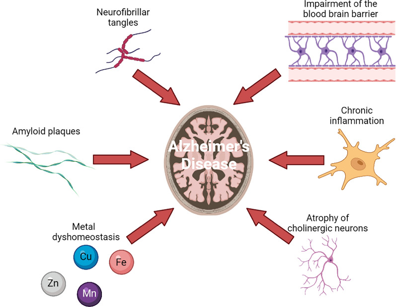 Cell-specific copper dyshomeostasis mechanism in Alzheimer's disease.