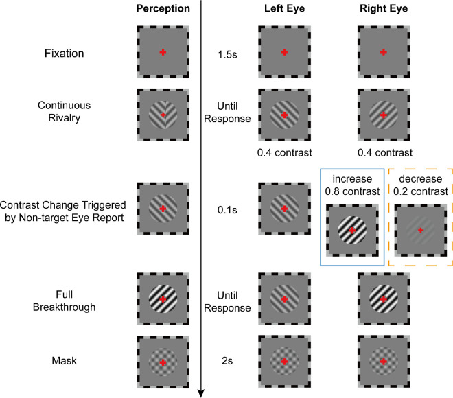 Increases versus decreases: Asymmetric effects of contrast changes during binocular rivalry modulated by awareness of perceptual switch.