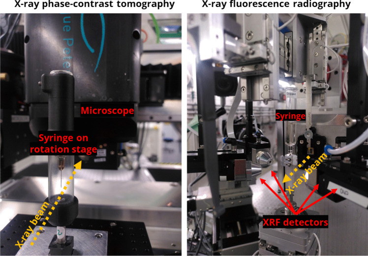Investigating Zinc Migration from Rigid Needle Shield to Drug Formulation in Needle Tip of Pre-filled Syringe.