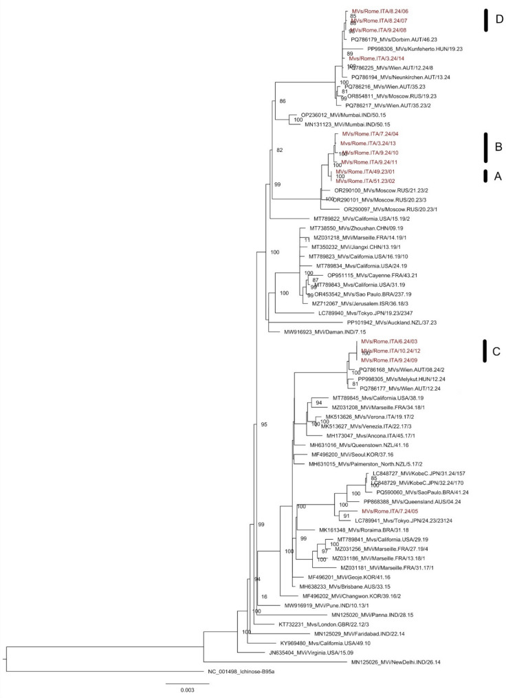 Molecular investigation on measles cases rise and variants co-circulation in the Lazio region, Italy.
