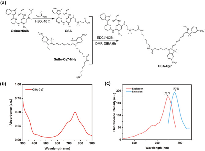 Design, synthesis, and biological evaluation of Osimertinib-Cy7 (OSA-Cy7) conjugate as potential theranostic agent targeting activating EGFR mutations.