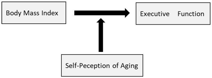 Investigating the Moderating Effect of Attitudes Toward One's Own Aging on the Association Between Body Mass Index and Executive Function in Older Adults.