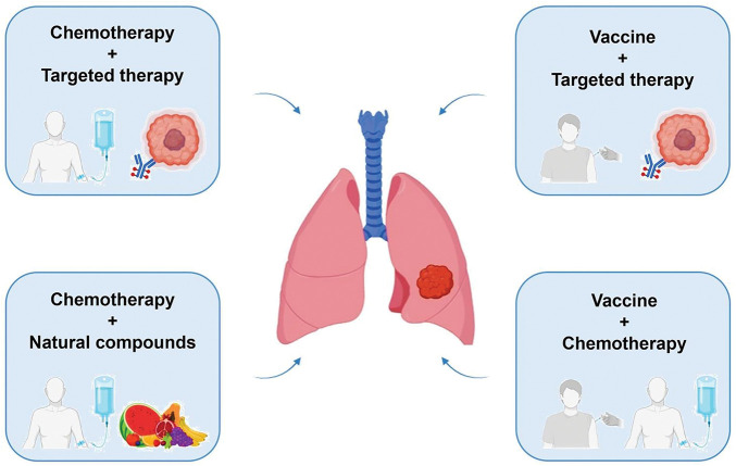 Combining Chemotherapeutic Agents, Targeted Therapies, Vaccines and Natural Bioactive Compounds for Mesothelioma: Advances and Perspectives.