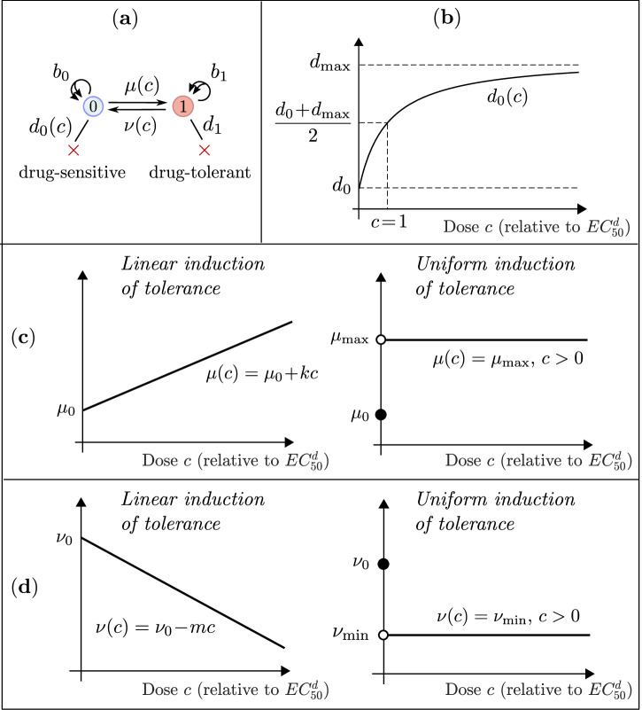 Optimal dosing of anti-cancer treatment under drug-induced plasticity.