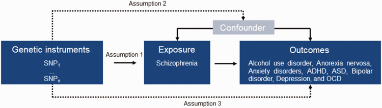 Causal associations between schizophrenia and other psychiatric disorders: A Mendelian randomization study.