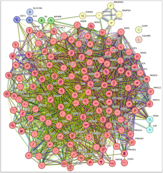 Combined metformin and exenatide versus only metformin treatments in polycystic ovary syndrome with abdominal obesity and network pharmacology of gene expression: evidence from a randomized clinical trial.
