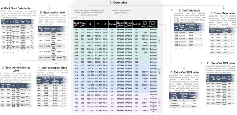 FAIR sharing of Chromatin Tracing datasets using the newly developed 4DN FISH Omics Format.
