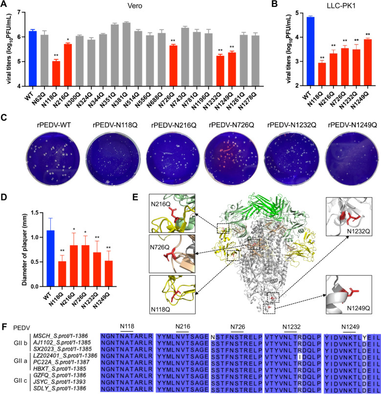 N-glycosylation of the PEDV spike protein modulates viral replication and pathogenicity.