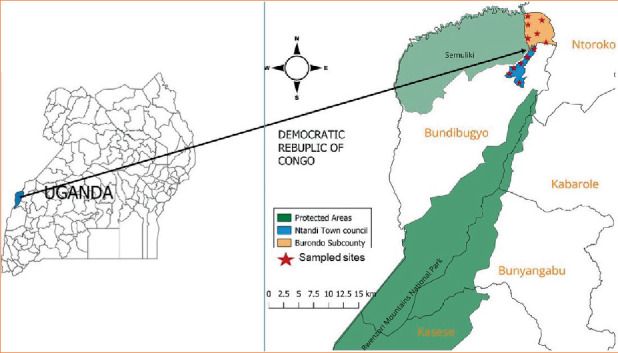 Gastrointestinal Parasites of Zoonotic Importance Detected in Bats in the Conservation Area of Semuliki National Park, Western Uganda.