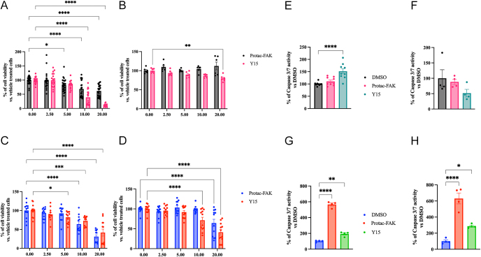 FAK inhibition disrupts tumor growth, apoptosis, and transcriptional regulation in GI-NETs.