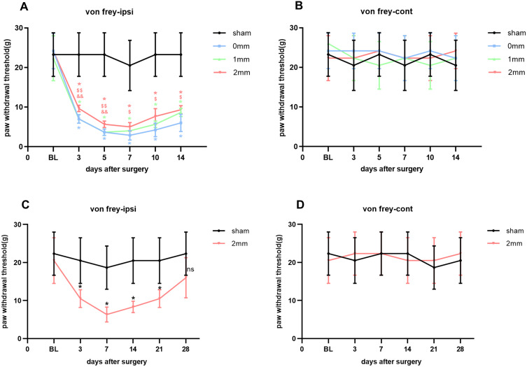 A Study of the Safety of Low Temperature Plasma Radiofrequency Ablation on Rat Sciatic Nerve.